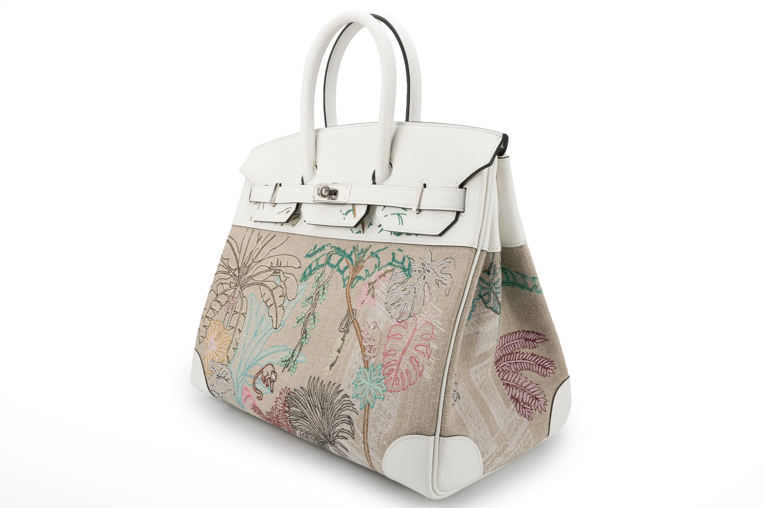Hermès Birkin35 Faubourg Tropical PHW - Image 2
